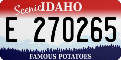 ID license plate E270265