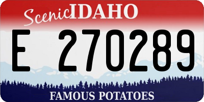 ID license plate E270289