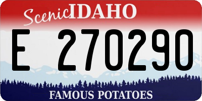 ID license plate E270290