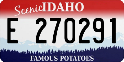 ID license plate E270291