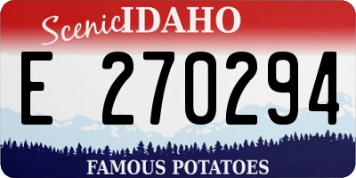 ID license plate E270294