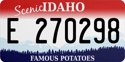ID license plate E270298