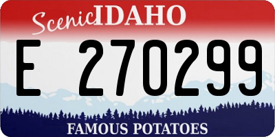 ID license plate E270299