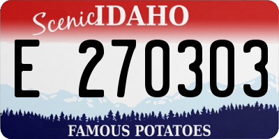 ID license plate E270303