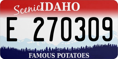 ID license plate E270309