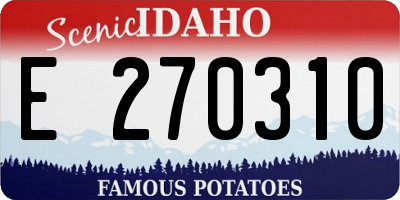 ID license plate E270310