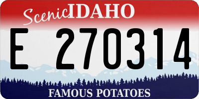 ID license plate E270314