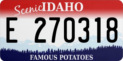 ID license plate E270318