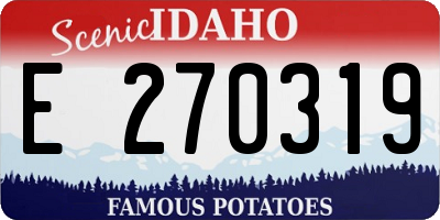 ID license plate E270319