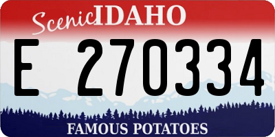 ID license plate E270334