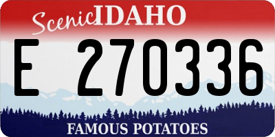 ID license plate E270336