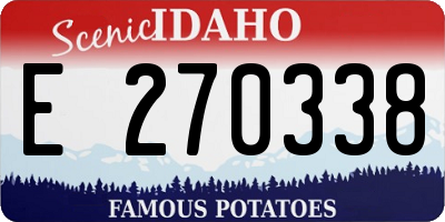 ID license plate E270338