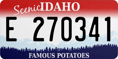 ID license plate E270341
