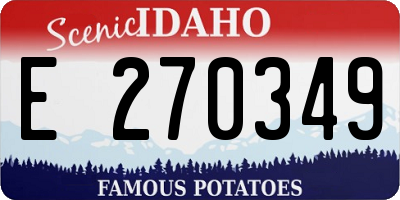 ID license plate E270349