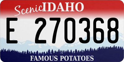ID license plate E270368