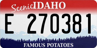 ID license plate E270381