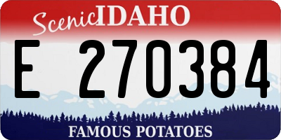ID license plate E270384