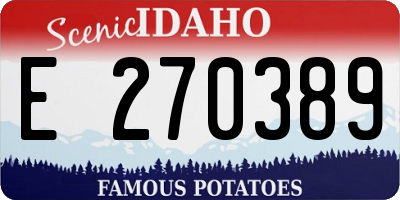ID license plate E270389