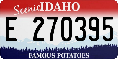 ID license plate E270395