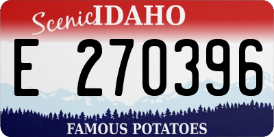 ID license plate E270396