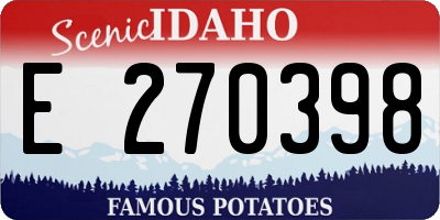 ID license plate E270398