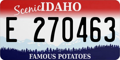 ID license plate E270463