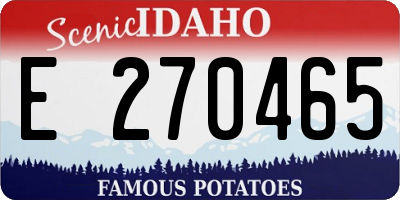 ID license plate E270465