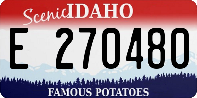 ID license plate E270480