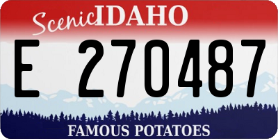 ID license plate E270487