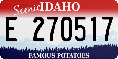 ID license plate E270517