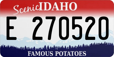 ID license plate E270520