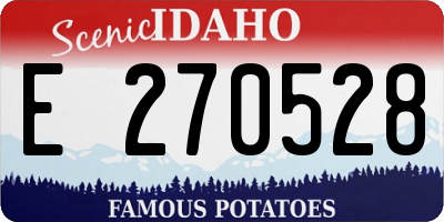 ID license plate E270528