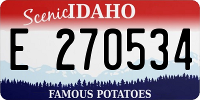 ID license plate E270534