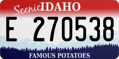 ID license plate E270538