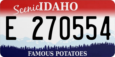 ID license plate E270554