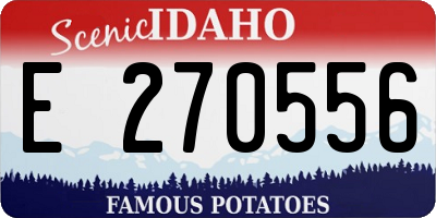 ID license plate E270556