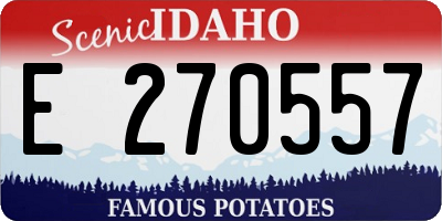 ID license plate E270557