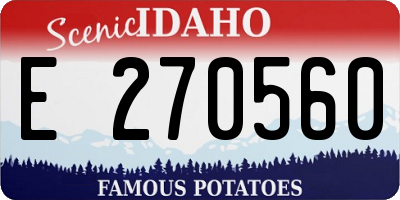 ID license plate E270560