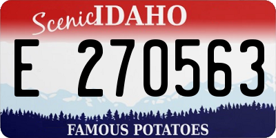 ID license plate E270563