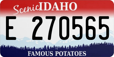ID license plate E270565