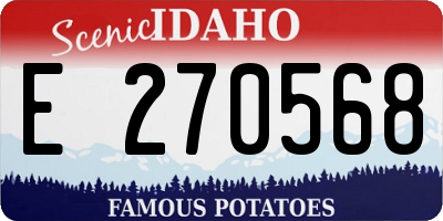ID license plate E270568
