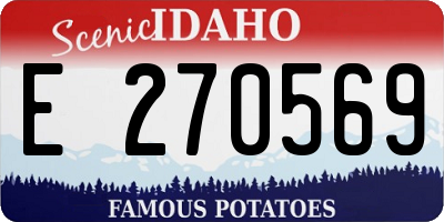 ID license plate E270569
