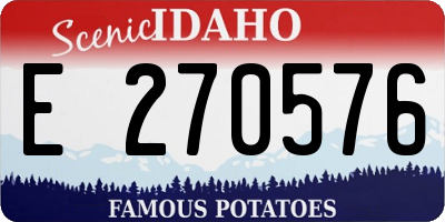 ID license plate E270576