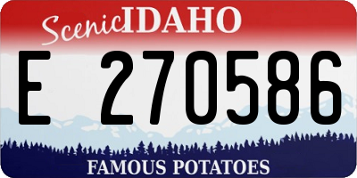 ID license plate E270586