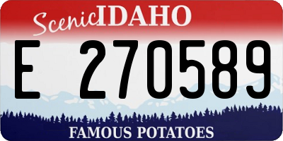ID license plate E270589