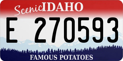 ID license plate E270593