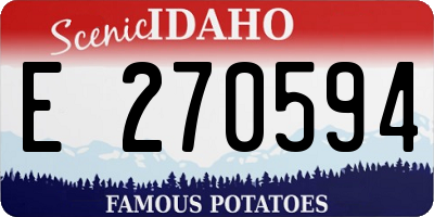 ID license plate E270594