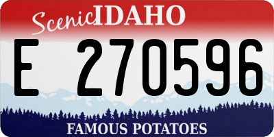 ID license plate E270596
