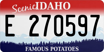 ID license plate E270597