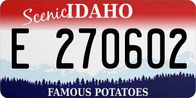 ID license plate E270602